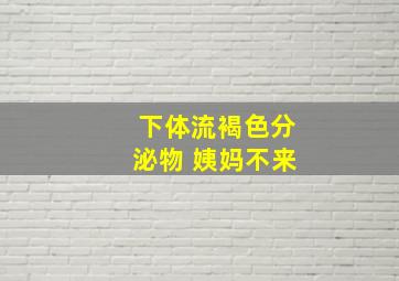 下体流褐色分泌物 姨妈不来